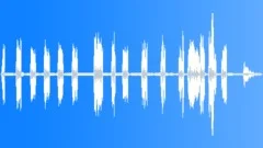 Indian Tree Pipit MCU Sound Effect