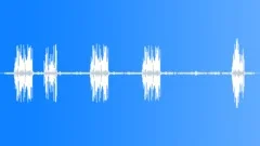 Indian Tree Pipit MCUSound Effect