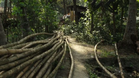Indian Village Stock Footage 86525556