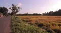 An Indian village landscape HD Footage