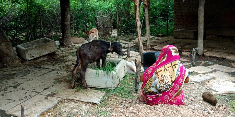 Indian villager technology learning program for digital awareness. Foto stock