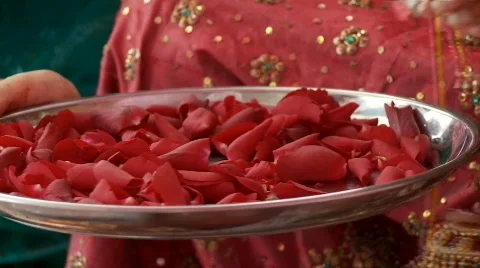 Indian Wedding Ceremony Stock Footage 878406
