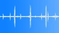 Indian wilderness. Song of red-vented bulbulSound Effect