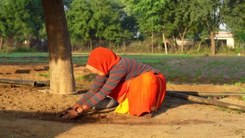 Indian woman making Cow Chips in traditi... | Stock Video | Pond5