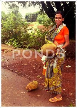 Indian woman selling Jack fruit Stock Photos