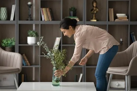 Indian woman taking care about green plant in living room Stock Photos