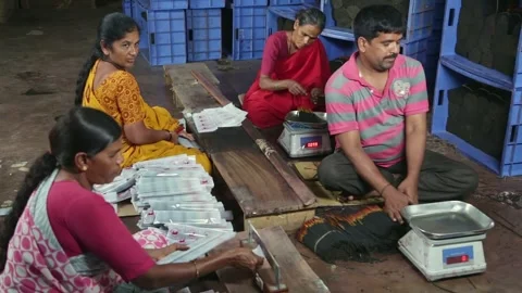 Indian workers weigh, pack, and seal the incense sticks in a factory Stock Footage 241653215