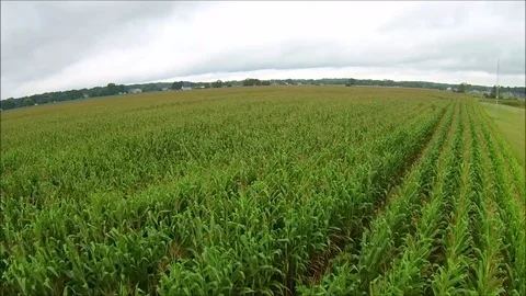 Indiana Farm Fields Stock Footage
