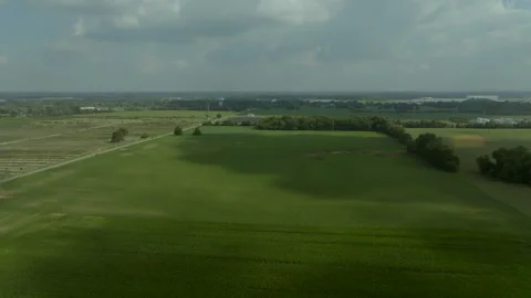 Indiana Field Video stock 260860907