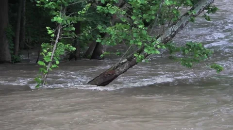 Indiana Flooding Spring 2015 Stock Footage 51380517