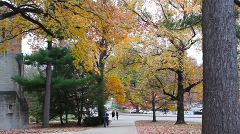 Indiana University Fall Long Sidewalks Stock Footage 53336981