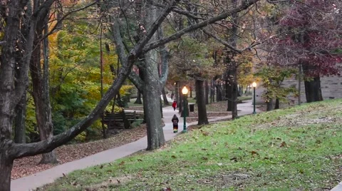 Indiana University Fall Sidewalks Stock Footage 53337048