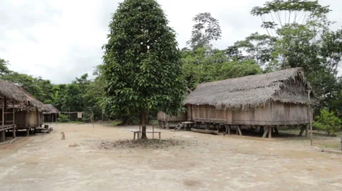 Indians building huts inside an isolated amazon tribe Видео 54263498
