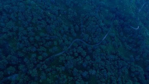 India's dense forests Stock-Fotos