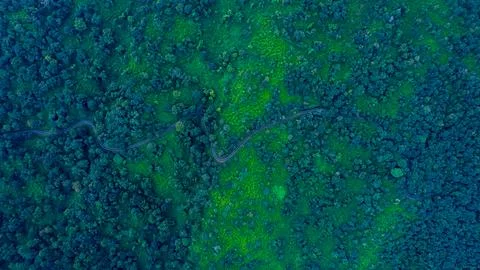 India's dense forests Stock-Fotos