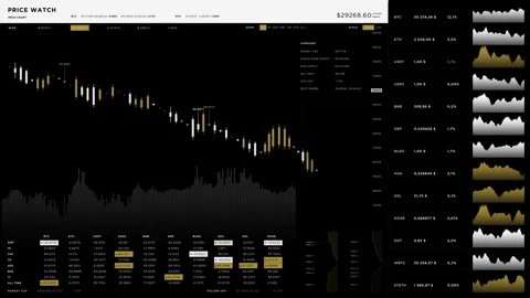 Indicator Of Cryptocurrency Price Falling In Digital Economy Chart Program 動画素材 270213907