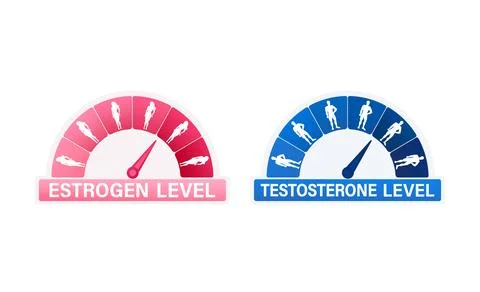 Indicator is showing estrogen and testosterone level increasing and decreasing Stockillustratie