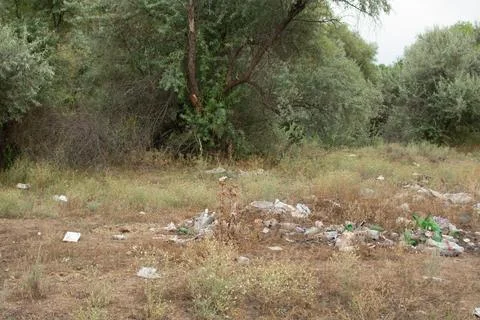 Indifference to environmental pollution, garbage heaps in nature Stock Photos