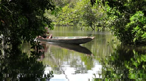 Indigenous adult man navigating in amazonian jungle in wooden canoe raft kayak Stock Footage