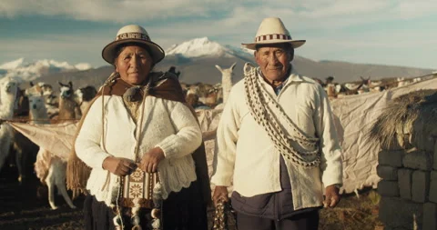 Indigenous Alpaca Shepherds in Sajama Stock Footage 270908811