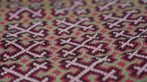 Indigenous Art of Shipibo 動画素材 309407657