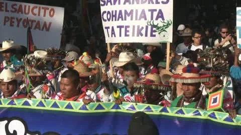 Indigenous claims Stock Footage 10850096