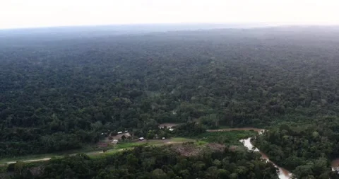 Indigenous Community, Aerial View, Amazon rainforest, Ecuador Video stock 196839832
