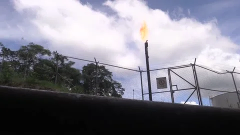 Indigenous group in Ecuador files climate change suit against Chinese oil firm,  스톡 동영상 203984736