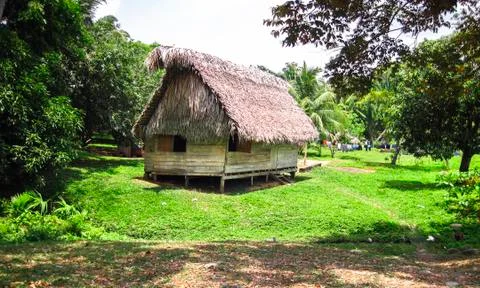 Indigenous house in Belize Stock Photos