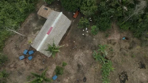 Indigenous House Drone Amazon Rainforest Stock Footage 309356723