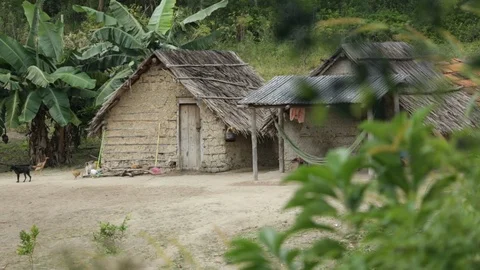 Indigenous Houses Vidéo 106523595