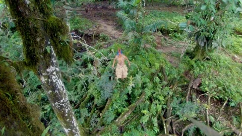 Indigenous hunter climbing a tree at the edge of a river in the amazon Stock Footage 113687721