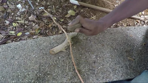 Indigenous man cuts a root with a stone on the street, Kuching, Malaysia, Borneo Stock Footage 157171796