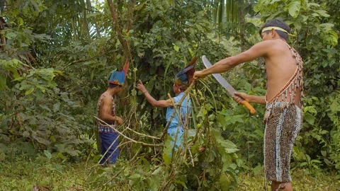Indigenous man cutting ayahuasca branches in the amazon rainforest in ecuador Vidéo 113565800