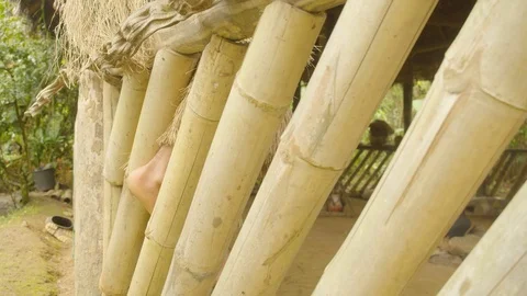 Indigenous man fixing her crown of feathers for battle in ecuador Stock Footage 113512614