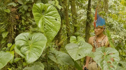 Indigenous man making bird watching with binoculars in ecuador Stock Footage 113513012