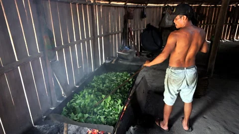 Indigenous man roasting green leaves on large pan over fire in amazon hut Stock Footage 343900619