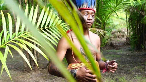 Indigenous Man From Tupi Guarani Tribe I Stock Video Pond5