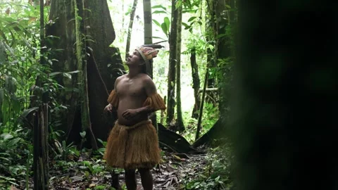 Indigenous man walking through Amazon rainforest path Video stock 324782234