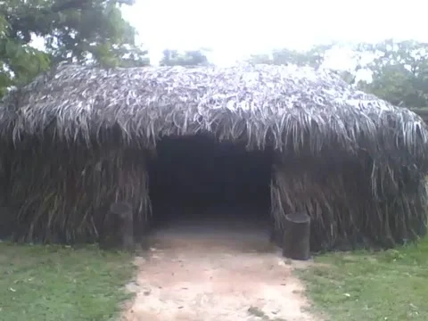 Indigenous oca made of straw at the science museum, a special place Stock Footage 162284369