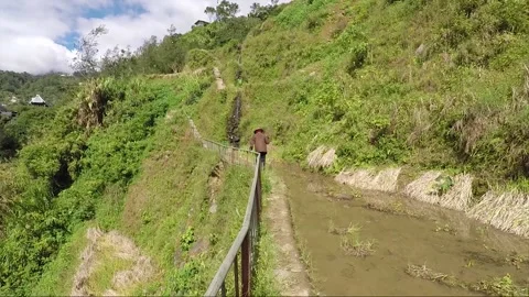 Indigenous Old Man With Cane Goes Along Rice Terraces, Banaue, Philippines Video stock 232934451
