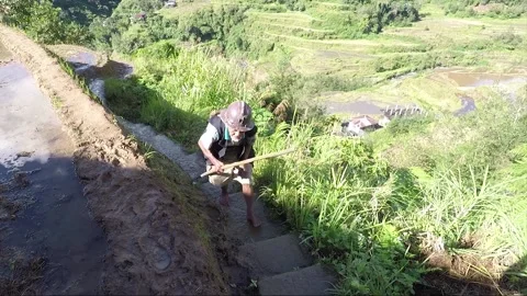 Indigenous Old Man With Pole Goes Upstairs, Rice Terraces, Banaue, Philippines Stock Footage 232681985