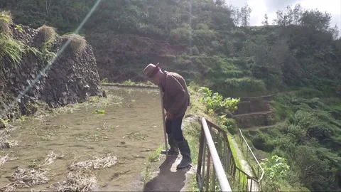 Indigenous Old Man With Walking Stick at Rice Terraces, Banaue, Philippines Stock Footage 232935077