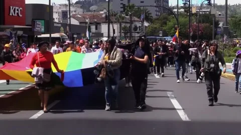 Indigenous people submit their prior consultation bill to Ecuador's Parliament,  Stock Footage 278489506