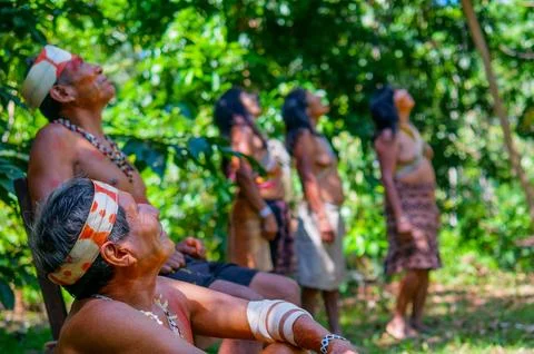 Indigenous Tribe in Amazon Jungle Stock Photos