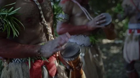 Indigenous tribesmen performing traditional dance in forest Stockbeeldmateriaal 324726078