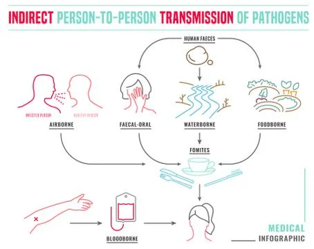 Indirect disease transmission Stock Illustration