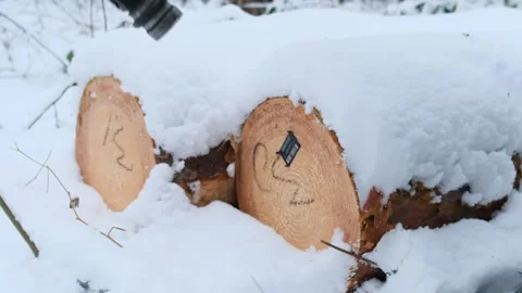 Individual bar code of wood. Stock Footage 300765804