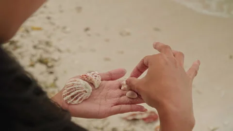 Individual carefully arranging small shells amidst soft shoreline scene Stock Footage 335887890