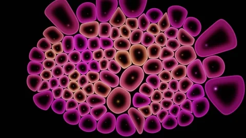 Individual Cells Shrink And Are Cleared From The Colony Stock Footage 344512227